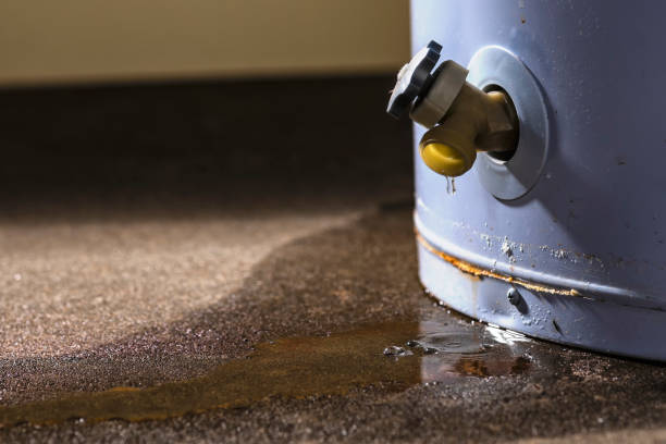 Best Carpet water damage restoration  in Asbury Lake, FL