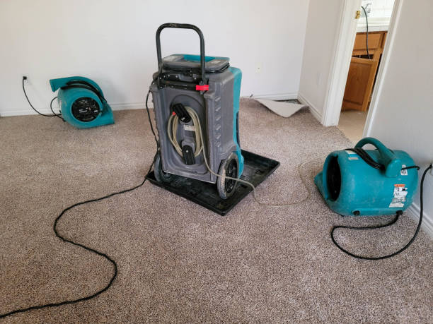 Best Water damage cleanup near me  in Asbury Lake, FL