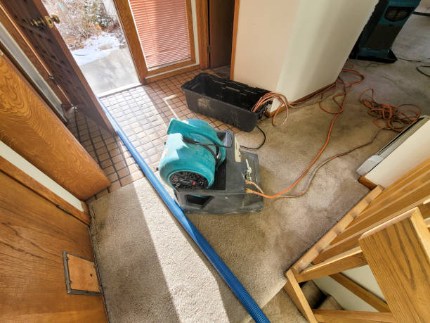 Best Water damage restoration insurance claims  in Asbury Lake, FL