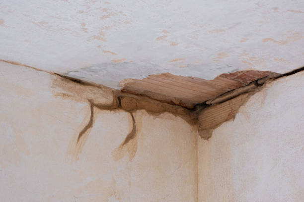 Best Sewage cleanup and water damage restoration  in Asbury Lake, FL