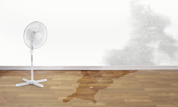 Best Commercial water damage restoration  in Asbury Lake, FL