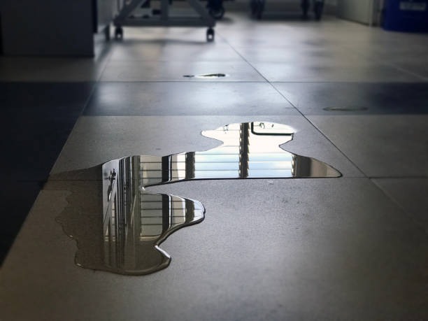 Best 24-hour water damage restoration  in Asbury Lake, FL