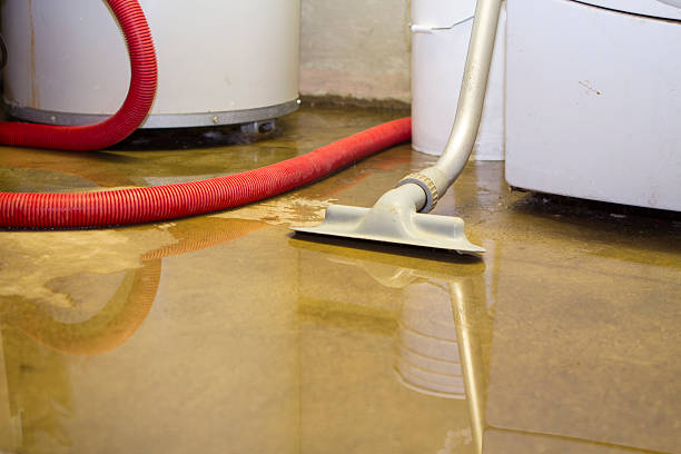 Best Water damage contractors near me  in Asbury Lake, FL