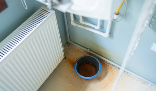 Best Flood damage cleanup  in Asbury Lake, FL
