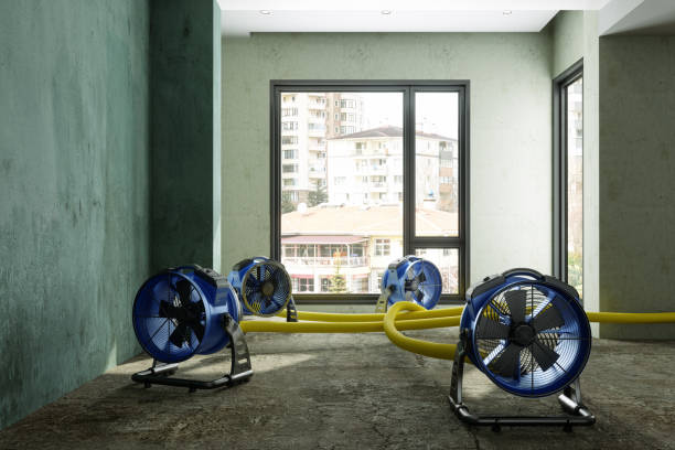 Best Residential water damage restoration  in Asbury Lake, FL