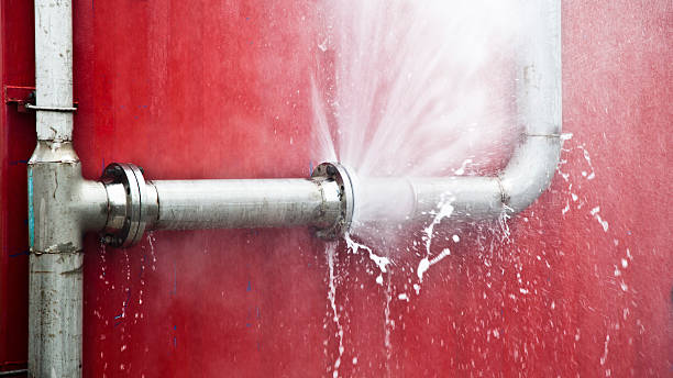 Carpet water damage restoration in FL